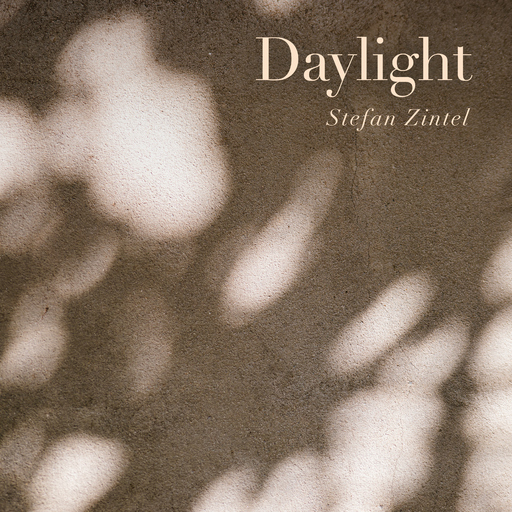 Stefan Zintel - Daylight