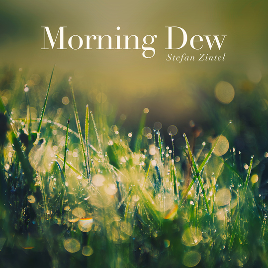 Stefan Zintel - Morning Dew