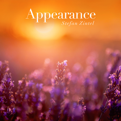 Stefan Zintel - Appearance