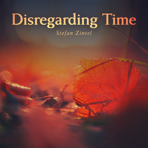 Stefan Zintel - Disregarding Time