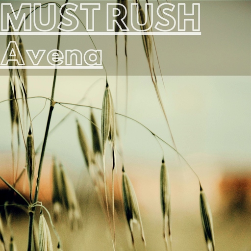 Must Rush - Avena