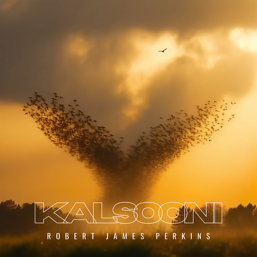 Robert James Perkins - Kalsooni