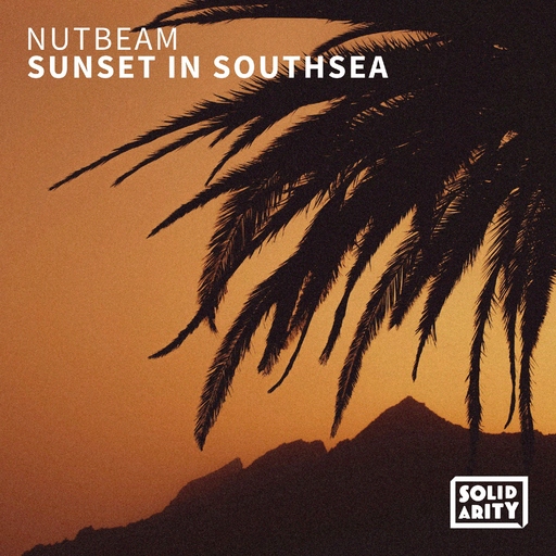 Nutbeam - Sunset in Southsea