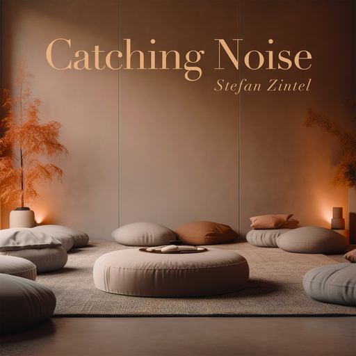 Stefan Zintel - Catching Noise