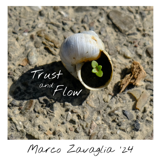 Marco Zavaglia - Trust and Flow