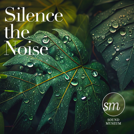 Stefan Zintel - Silence the Noise