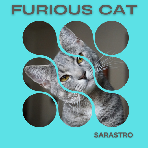 Sarastro - Furious Cat