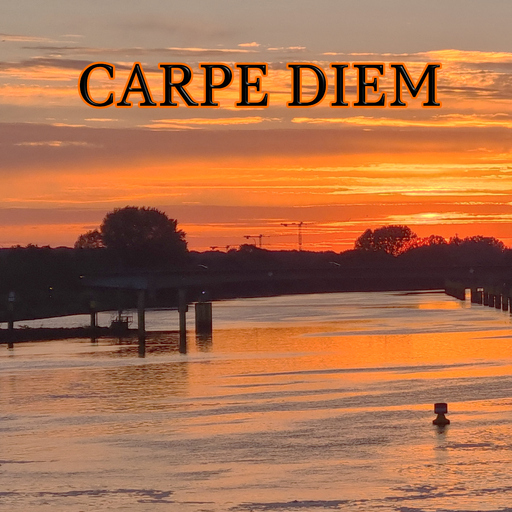 Heiko Ueberschaer - Carpe Diem