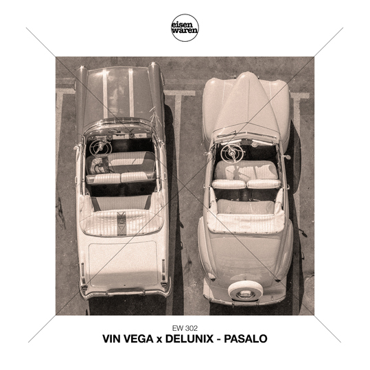 Vin Vega & DeLunix - Pasalo