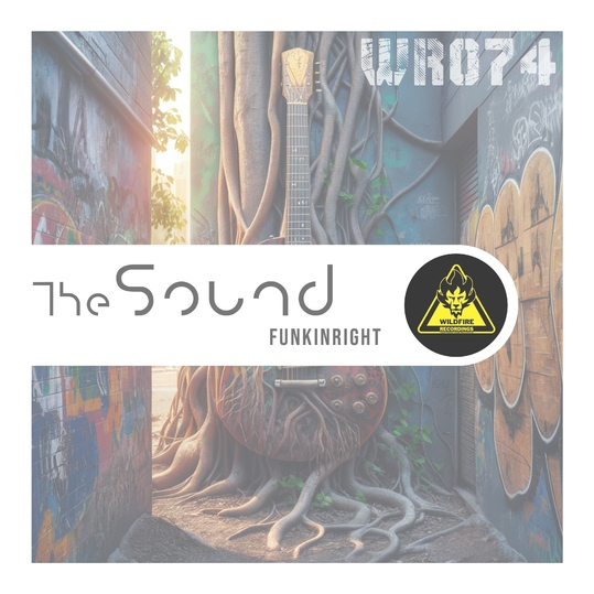 Funkinright - The Sound