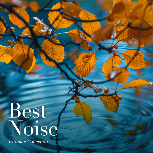 Ultimate Collection - Best Noise