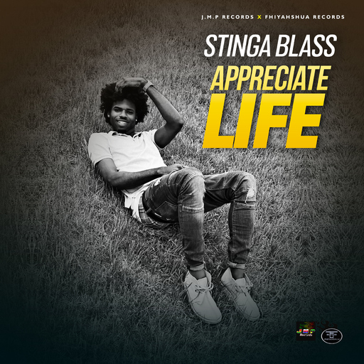 Stinga Blass - Appreciate Life
