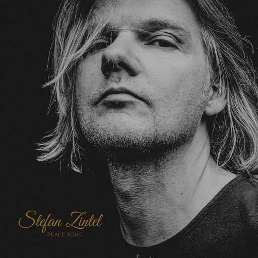 Stefan Zintel - Peace Song