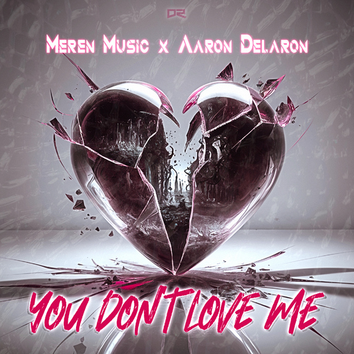 Merèn Music x Aaron Delaron - You Don't Love Me