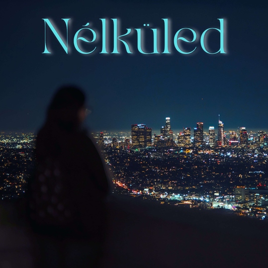 Erik Ray feat. Lolettin - Nélküled