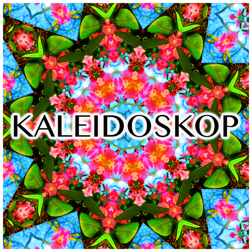 Heiko Ueberschaer - Kaleidoskop