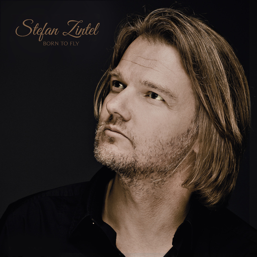 Stefan Zintel - Born to Fly