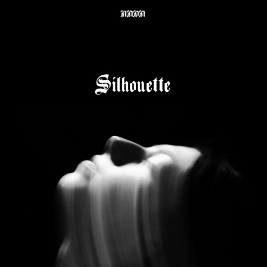 NNDN - Silhouette