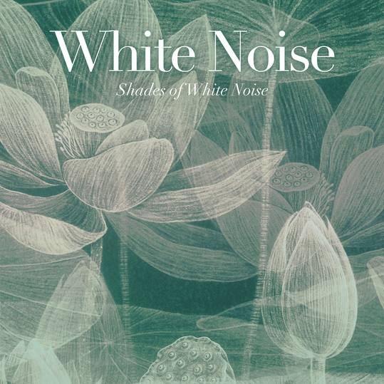 Shades of White Noise - White Noise
