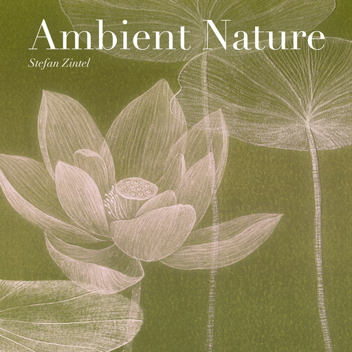 Stefan Zintel - Ambient Nature