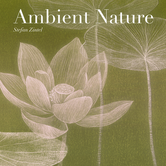 Stefan Zintel - Ambient Nature