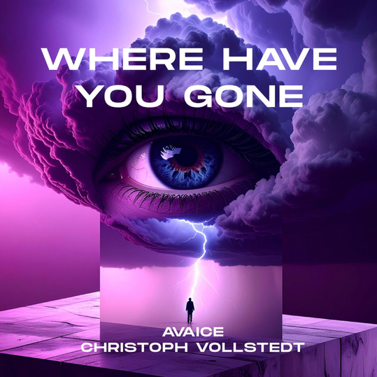 Avaice & Christoph Vollstedt - Where Have You Gone