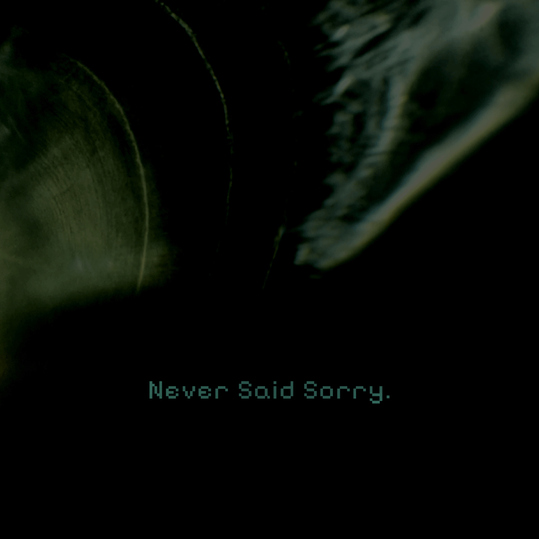RIA - Never Said Sorry