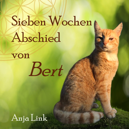 Anja Link - Sieben Wochen Abschied von Bert