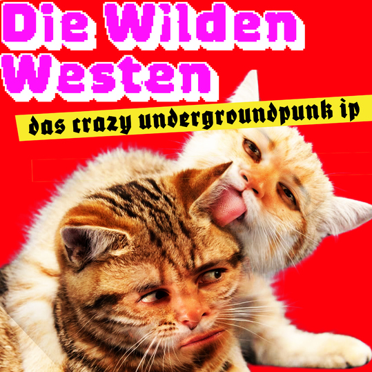 Die Wilden Westen - das crazy undergroundpunk ip