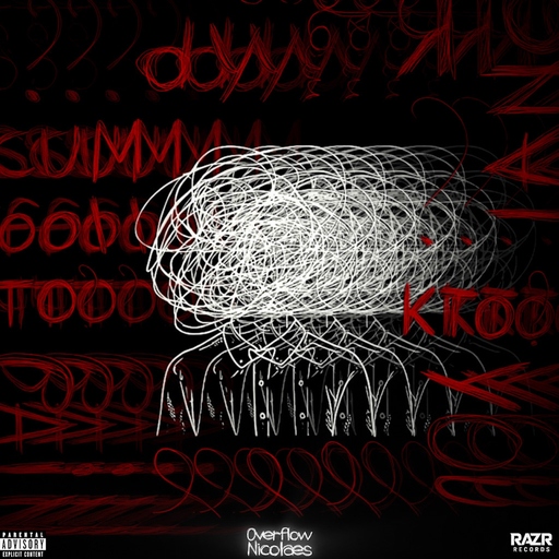 Nicolaes - Overflow