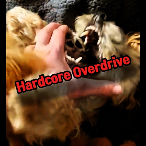 Feel F Free - Hardcore Overdrive