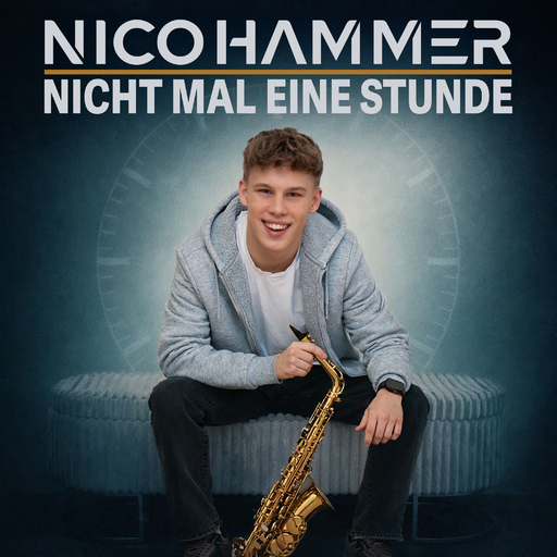 Nico Hammer - Nicht mal eine Stunde