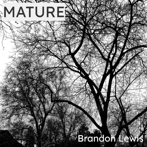 Brandon Lewis - MATURE