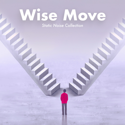 Static Noise Collection - Wise Move