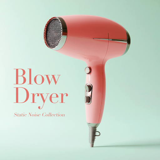 Static Noise Collection - Blow Dryer