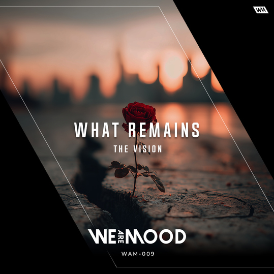 The Vision - What Remains