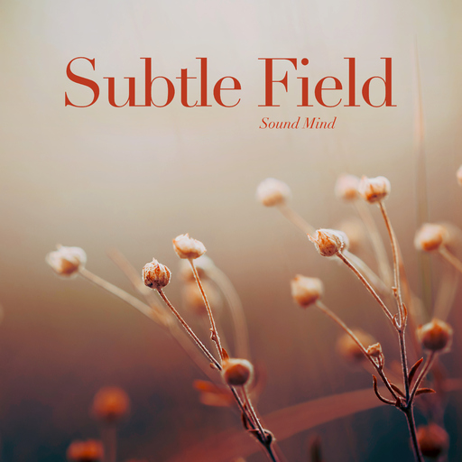 Sound Mind - Subtle Field