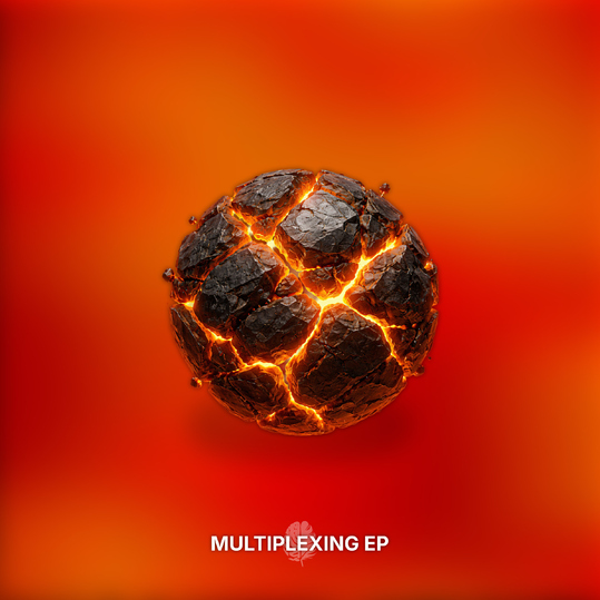 UNIIC - Multiplexing