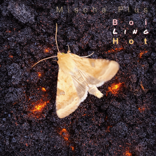 Mischa Plus - Boiling Hot