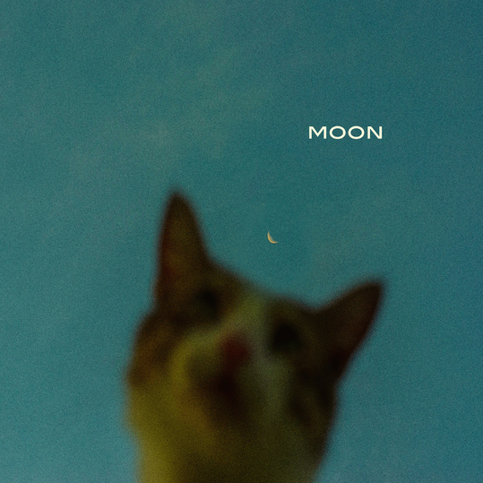 Absence Of Doubt - Moon