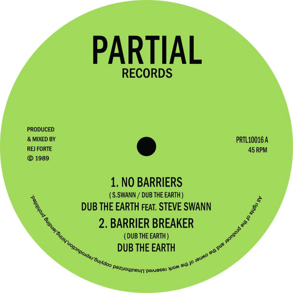 Dub the Earth feat. Steve Swann - No Barriers