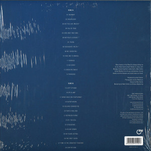 Eric Lau - Examples Vol. 2 (LP) (Back)