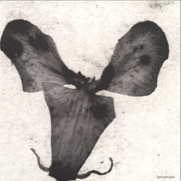 LUCY - DYSCAMUPIA