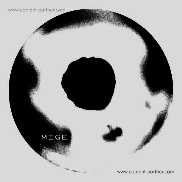 M I G E - MIGE