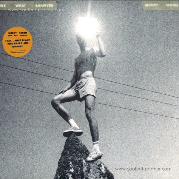 Mount Kimbie - Love What Survives (Ltd. White 2LP/Gatefold)