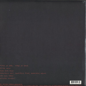 The Field - Infinite Moment (2LP + DL) (Back)