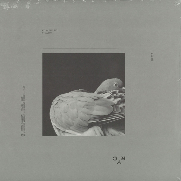 Wrong Assessment, Alfredo Mazzilli, Newa, Skyra - Milan_Tbilisi