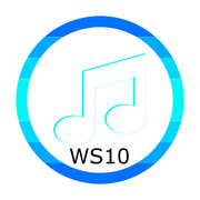 WS10